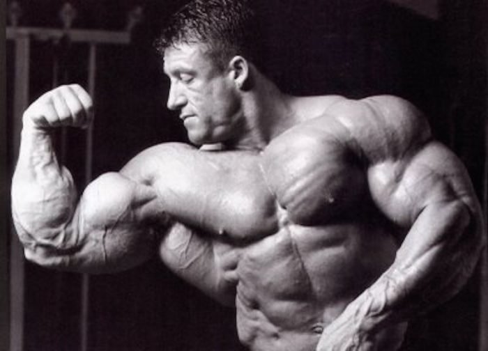 dorian yates bodybuilding