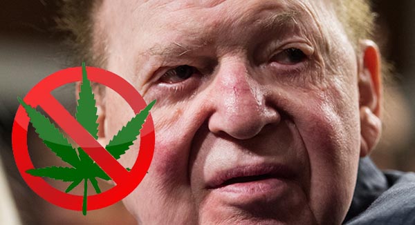 Billionaire Who Is Spending Millions of Dollars In Anti-Marijuana Funding