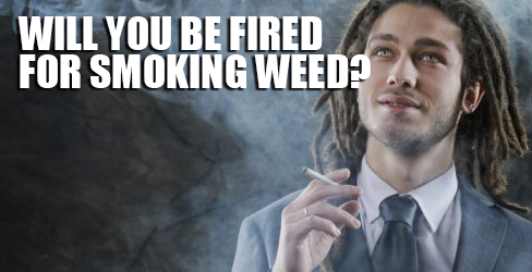 cannabis_job