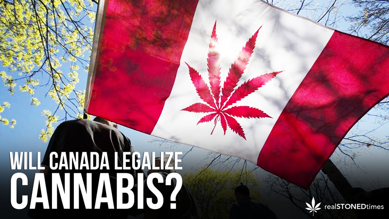 canada-legalize-cannabis