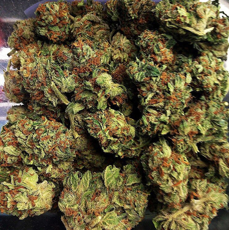 orange kush Real Stoned Times