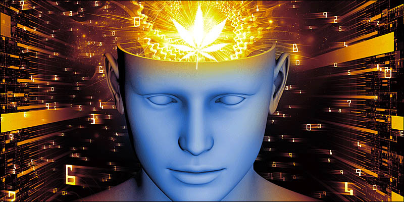 THE SCIENCE BEHIND CREATIVITY visual data 6