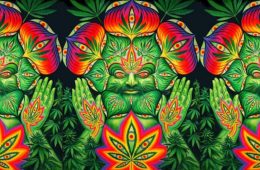 cannabis-and-meditation