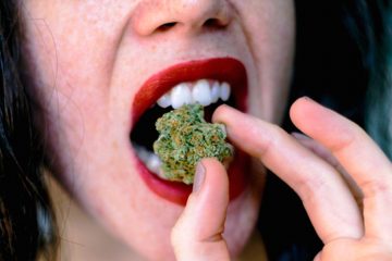 raw cannabis