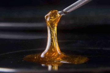 dabbing cannabis concentrate