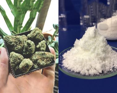 weed thca crystalline side by side