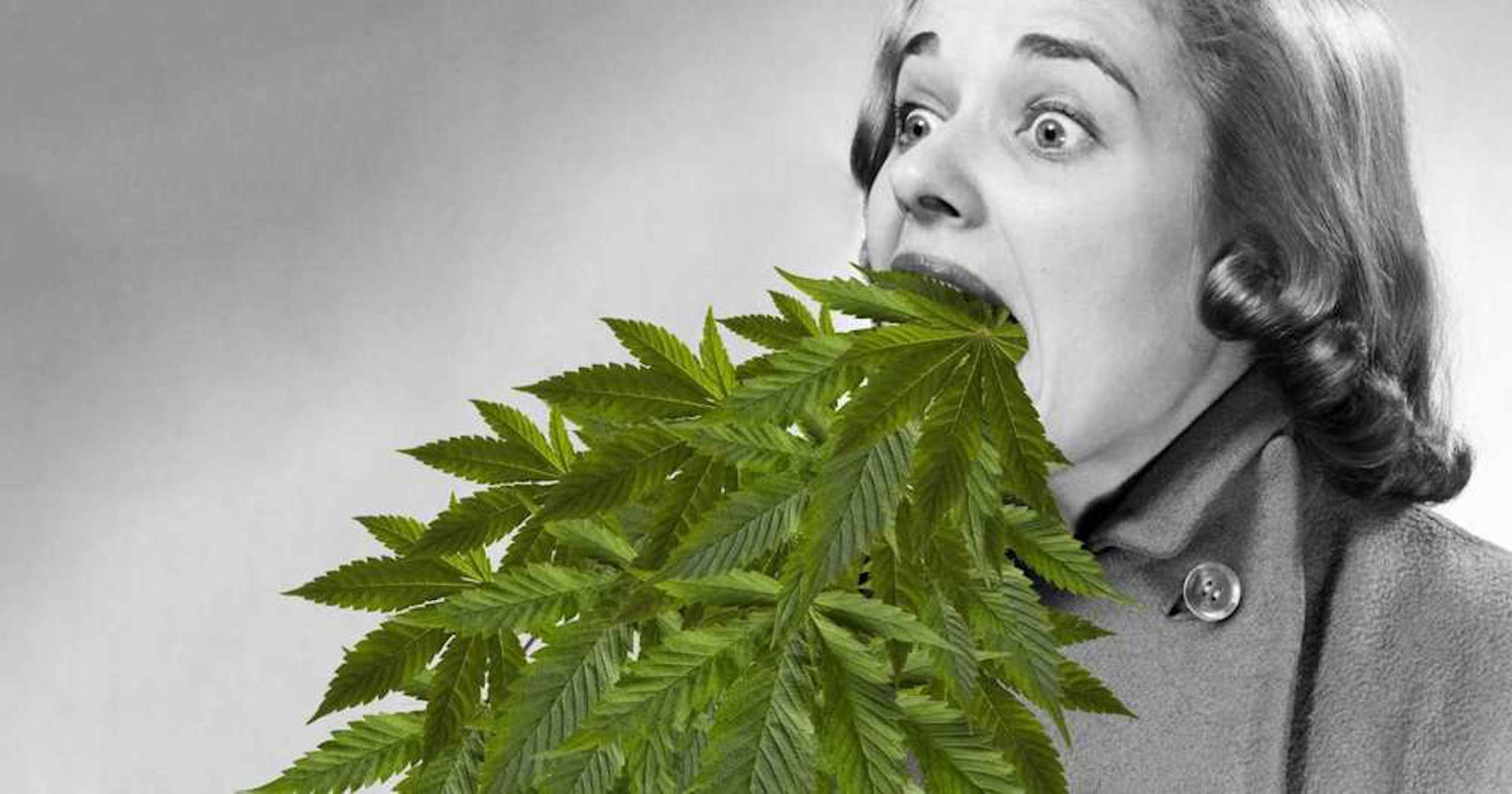 10 Ways To Deal With Greening Out – Real Stoned Times