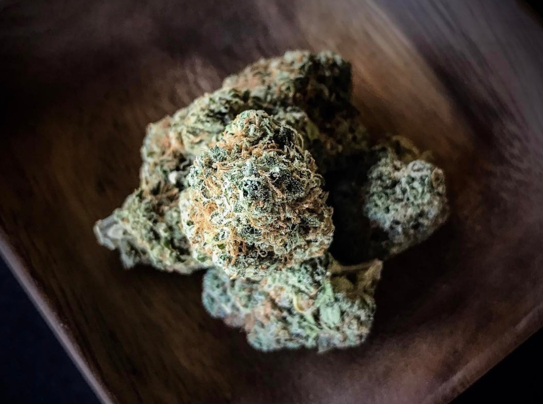 Why is Blue Dream So Popular? Real Stoned Times