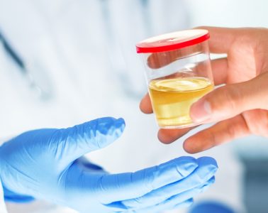 fake pee drug test