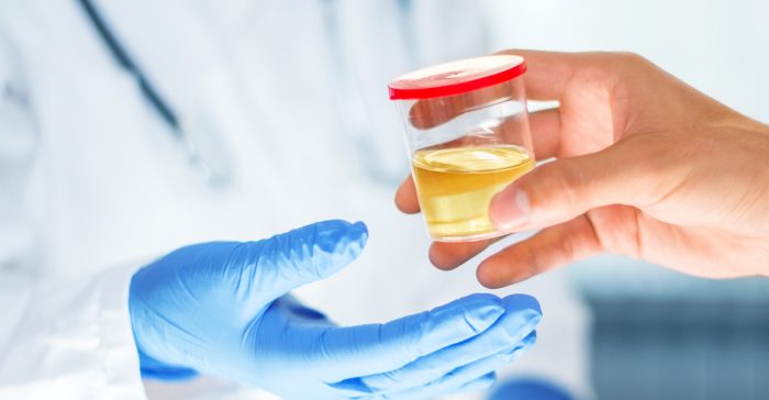 fake pee drug test