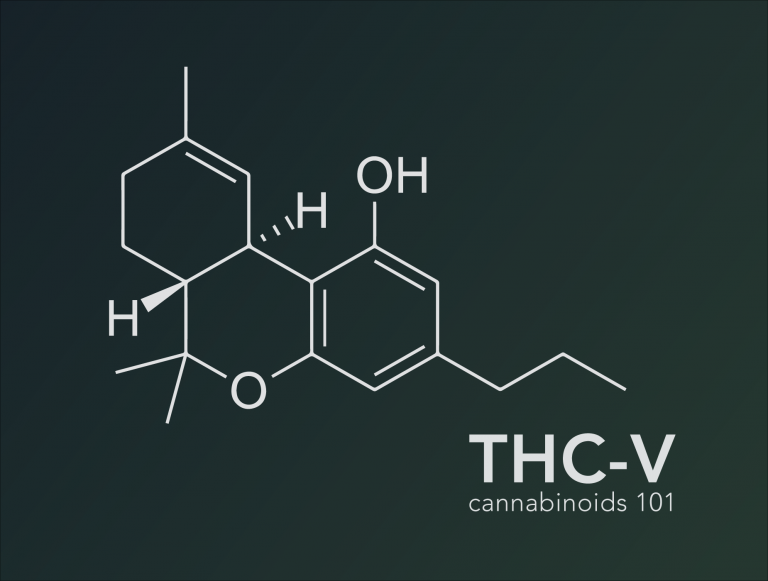 Cannabinoids 101: What Is THCV? – Real Stoned Times