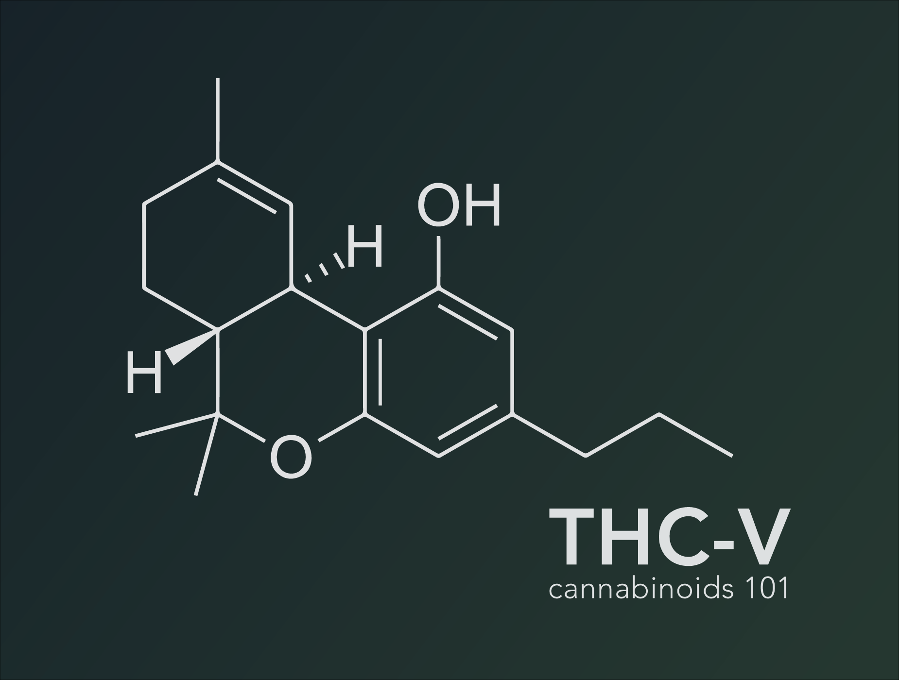 Cannabinoids 101: What Is THCV? – Real Stoned Times