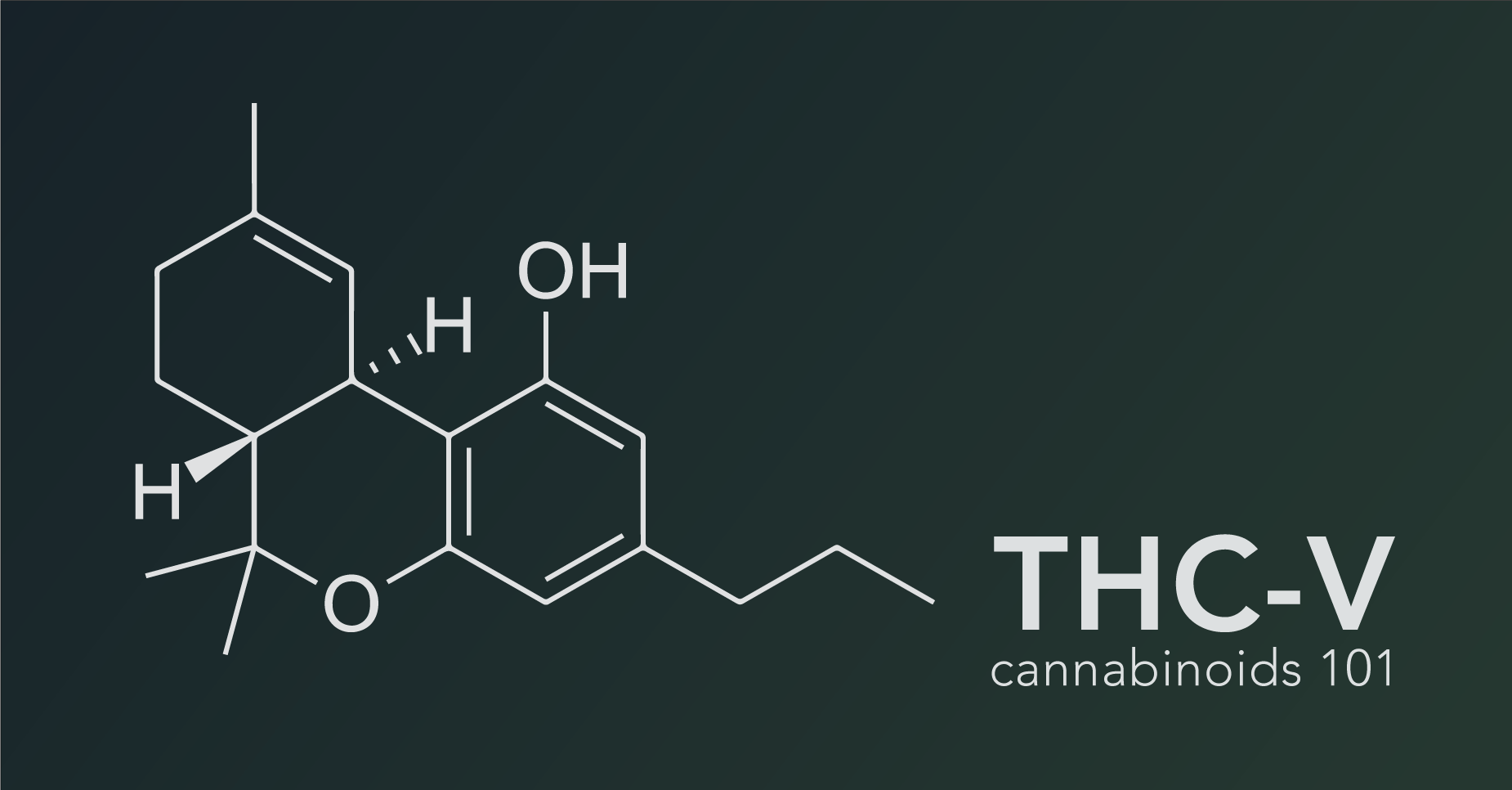 Cannabinoids 101: What Is THCV? – Real Stoned Times